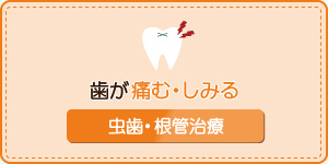 歯が痛む・しみる虫歯・根管治療
