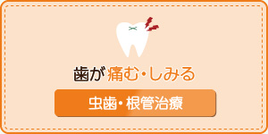 歯が痛む・しみる虫歯・根管治療